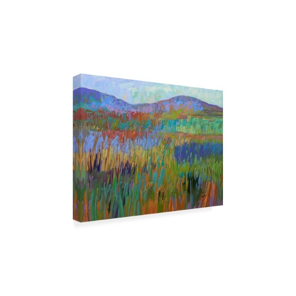 Jane Schmidt 'Color Field No. 68' Canvas Art,14x19